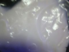 -鞠氏黑芝麻糊(水塔店)