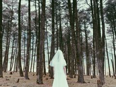 -石棉县孟获城