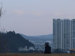 -洱海月湿地公园