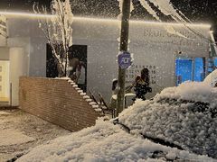 -Blue Concept Cafe&Farm·關於藍