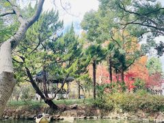-上海醉白池公园