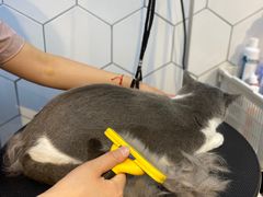 -萌兽医馆·眼科·异宠专科(三里屯店)