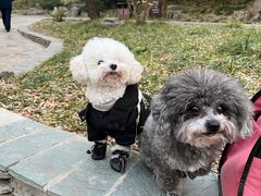 -三忘湖 SWANSEEN(柳荫公园店)