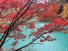 -叠溪松坪沟景区