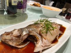 清蒸鲈鱼-大铁勺新津菜(东丽阳光新业广场店)