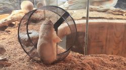 -Zoolung Zoolung动物主题公园(海信广场店)