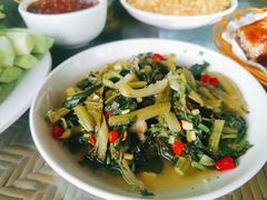 -岩保农家乐