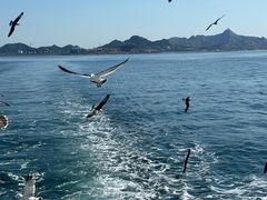 -海驴岛(荣成市)