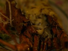 -Red Lobster