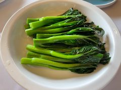 白灼靓菜心-顺德喜来登酒店·采悦轩