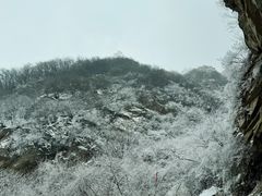 -抱龙峪