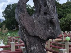 -紫马岭公园