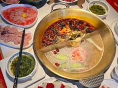 -小龙翻大江文化火锅(宽窄店)