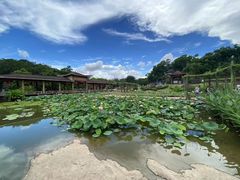 -广州莲花山旅游区
