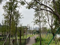 -王借岗森林公园