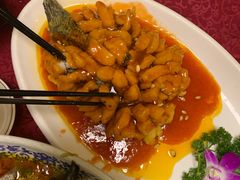 -旭龙鱼头王(航华店)