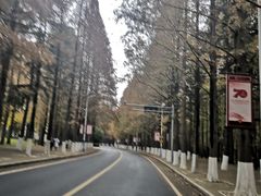 -大连理工大学(凌水校区)