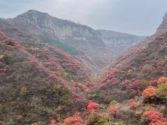 -黄花溪