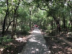 -中国医学科学院皮肤病医院