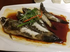 清蒸石头鱼-七仙岭君澜度假酒店·桃源小馆中餐厅