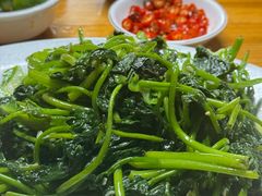 炒地瓜叶-天程知味园