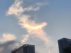 -天鹅湖体育公园