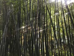 -同庆堂(解放北路店)