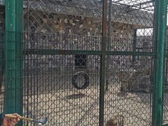 -宿豫区运河湾森林动物园