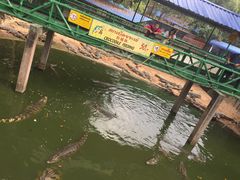 -是拉差龙虎园(Permanently closed)