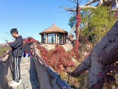 -华夏民俗村(棋盘山店)