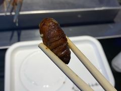 -橦橦小马扎烧烤 (传媒大学店)