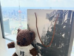 -上海柏悦酒店