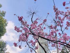 -静安雕塑公园