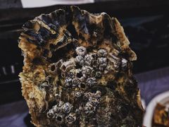 -HIHE Bistro·Oyster Bar(华熙live店)