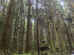 -上色见熊野座神社