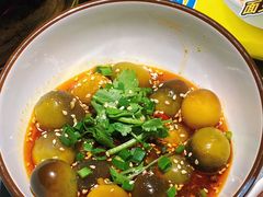-肥家大排档(天河体育西店)