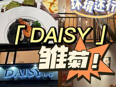-Daisy雏菊