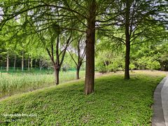 -同里国家湿地公园