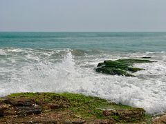 -盐洲岛