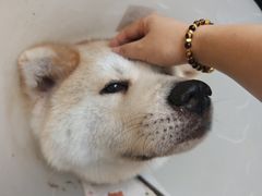 -YCHL Studios健身工作室(市二宫店)