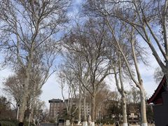 -春江饭店(共青团路总店)