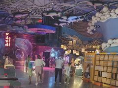 -烟台海昌鲸鲨海洋公园