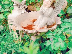 -荒度咖啡(北九水店)