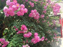 -北京石刻艺术博物馆(五塔寺)