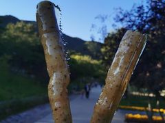 -北京西山国家森林公园