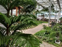 -石家庄市植物园