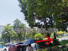 -华侨城湿地公园