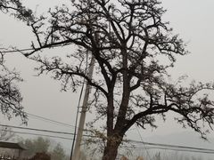 -十三陵水库