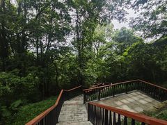 -天鹿湖森林公园