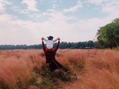 -艾溪湖湿地公园